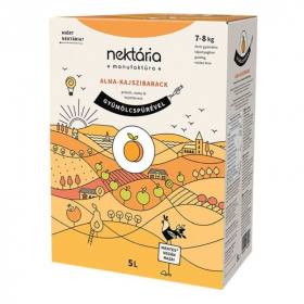 Nektária 100% alma-kajszilé 5000ml