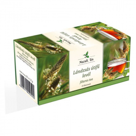 Mecsek lándzsás útifű levél filteres tea (25x1,5g) 25db