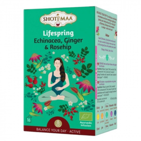 Shoti Maa bio lifespring echinacea, gyömbér és csipkebogyó tea (16x2g) 16db