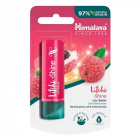 Himalaya ajakbalzsam licsis 4,5g 