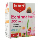 Dr. Herz Echinacea 500mg + C-vitamin + szerves cink kapszula 60db 