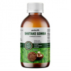 gomba Dr. shiitake gomba glicerines kivonat 100ml 